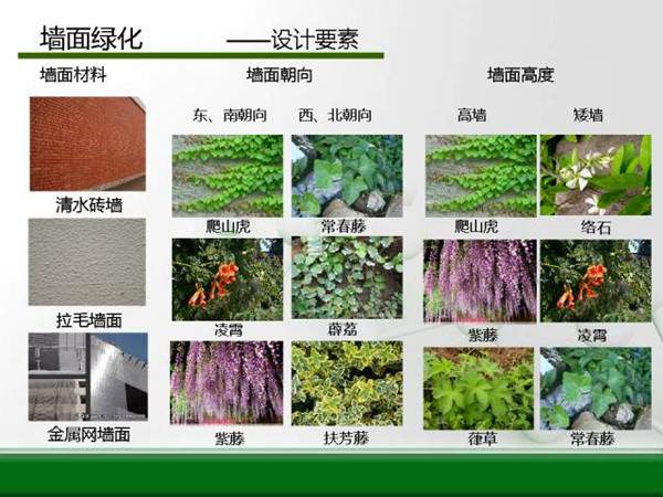 墻面綠化-設(shè)計要素